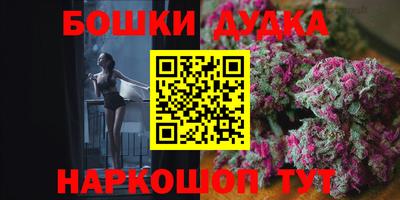 стафф Новокубанск